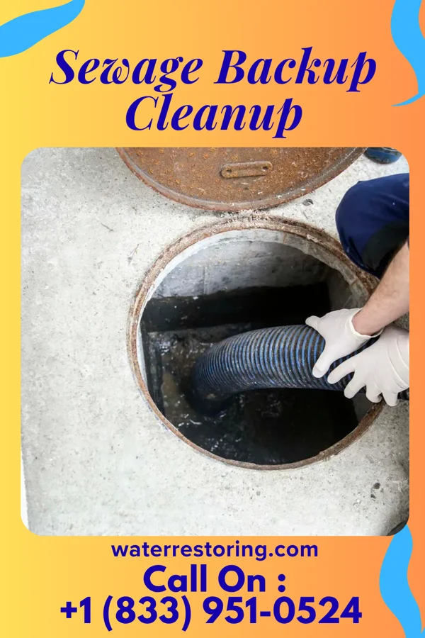 Sewage Backup Cleanup in Schererville, IN
